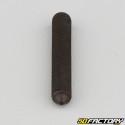 5x30 mm headless screw with pointed end (single)