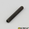 5x35 mm headless screw with pointed end (single)