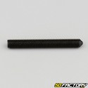 5x40 mm headless screw with pointed end (single)
