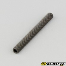 5x45 mm headless screw with pointed end (single)