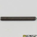5x45 mm headless screw with pointed end (single)
