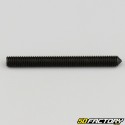 5x50 mm headless screw with pointed end (single)