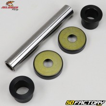 Buchas do triângulo dianteiras superiores, braço de suspensão Yamaha Banshee XNUMX (XNUMX - XNUMX) All Balls