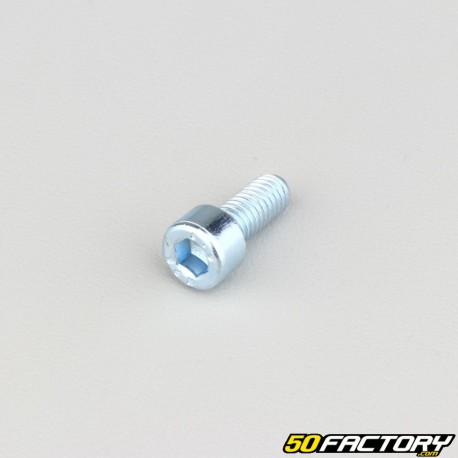 6x14 mm screw BTR head class 8.8 (single)