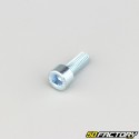 Tornillo de 6x16 mm cabeza BTR clase 8.8 (simple)