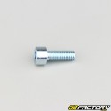 Tornillo de 6x16 mm cabeza BTR clase 8.8 (simple)