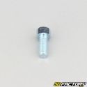 Tornillo de 6x16 mm cabeza BTR clase 8.8 (simple)