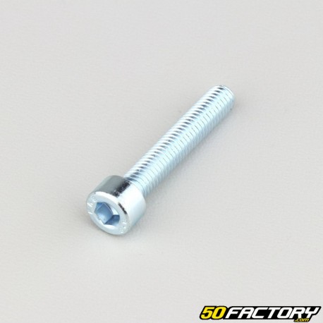 Tornillo de 6x35 mm cabeza BTR clase 8.8 (simple)