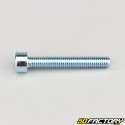 6x40 mm screw BTR head class 8.8 (single)