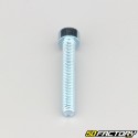 Tornillo de 6x40 mm cabeza BTR clase 8.8 (simple)