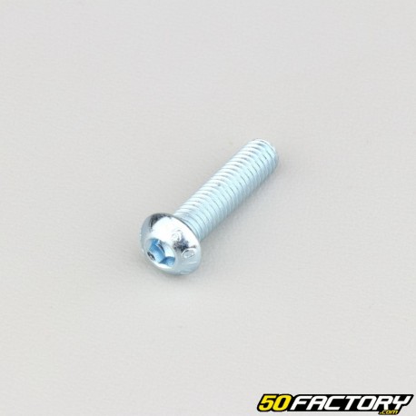 6x25 mm screws rounded head BTR class 10.9 (per unit)