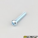 6x30 mm screws rounded head BTR class 10.9 (per unit)