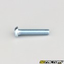 6x30 mm screws rounded head BTR class 10.9 (per unit)