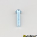 6x30 mm screws rounded head BTR class 10.9 (per unit)