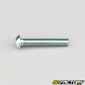 6x35 mm screws rounded head BTR class 10.9 (per unit)