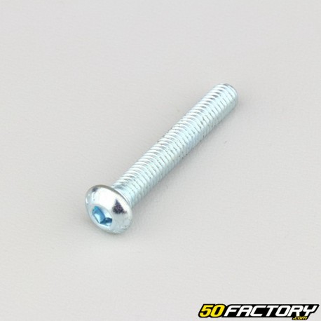 Tornillos de XNUMXxXNUMX mm cabeza redonda BTR clase XNUMX (por unidad)