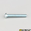 6x40 mm screws rounded head BTR class 10.9 (per unit)