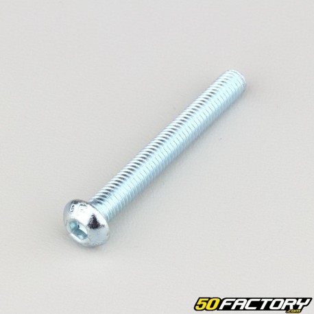 6x50 mm screws rounded head BTR class 10.9 (per unit)