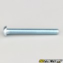 6x50 mm screws rounded head BTR class 10.9 (per unit)