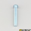 6x50 mm screws rounded head BTR class 10.9 (per unit)