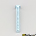 6x55 mm screws rounded head BTR class 10.9 (per unit)