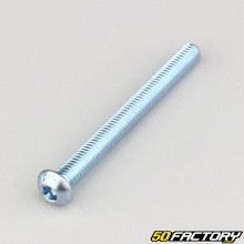 6x60 mm screws domed head BTR class 10.9 (per unit)