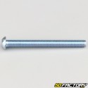 6x60 mm screws rounded head BTR class 10.9 (per unit)