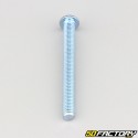 6x60 mm screws rounded head BTR class 10.9 (per unit)