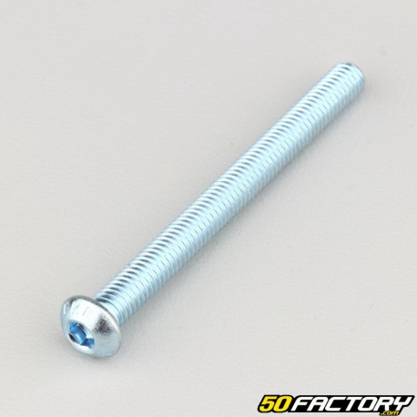 Tornillos de 6x65 mm cabeza redonda BTR clase 10.9 (por unidad)