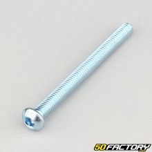 6x65 mm screws domed head BTR class 10.9 (per unit)