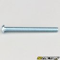 6x65 mm screws rounded head BTR class 10.9 (per unit)