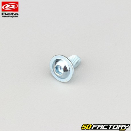 6x12 mm screw domed BTR head original base Beta