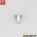 6x12 mm screw domed BTR head original base Beta