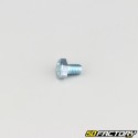 6x8 mm screw hex head class 8.8 (per unit)