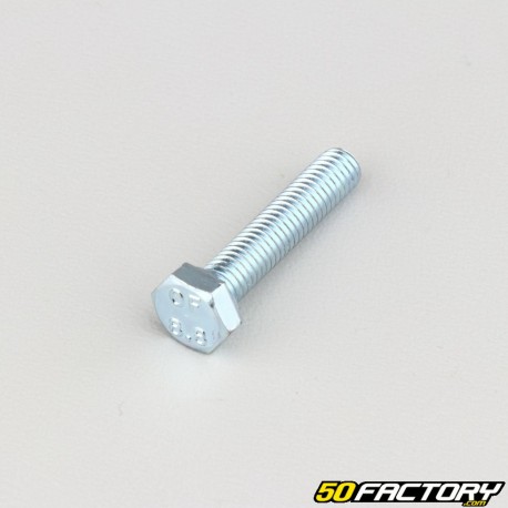 6x30 mm screw hex head class 8.8 (per unit)
