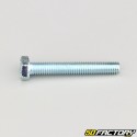 6x40 mm screw hex head class 8.8 (per unit)