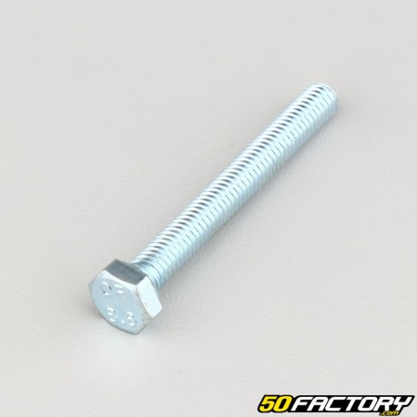 6x50 mm screw hex head class 8.8 (per unit)