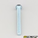 6x55 mm screw hex head class 8.8 (per unit)