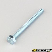 6x60 mm screws hexagon head class 8.8 (per unit)