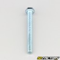 6x60 mm screw hex head class 8.8 (per unit)