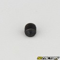 6x6 mm headless screw with pointed end (single)