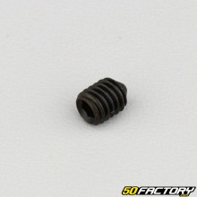 Tornillo sin cabeza de 6x8 mm con extremo puntiagudo (por unidad)