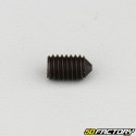 6x10 mm headless screw with pointed end (single)