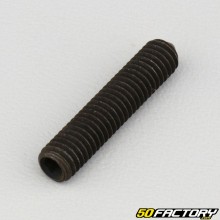 6x30 mm headless screw with pointed end (single)