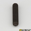 6x30 mm headless screw with pointed end (single)