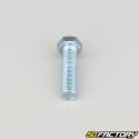 7x30 mm screw hex head class 8.8 (per unit)