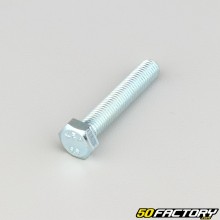 7x40 mm screws hexagon head class 8.8 (per unit)