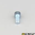 8x16 mm screw BTR head class 8.8 (single)