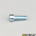 Tornillo de 8x25 mm cabeza BTR clase 8.8 (simple)