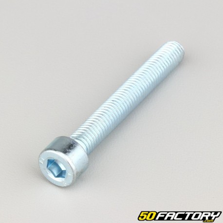 Tornillo de 8x60 mm cabeza BTR clase 8.8 (simple)